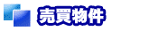 売買物件